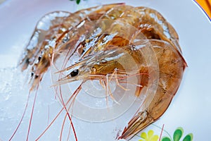 Shrimp has a high nutritional value photo