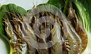 Shrimp has a high nutritional value photo