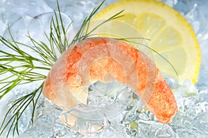 Shrimp on ice with lemon