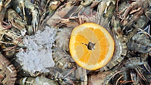 Shrimp on the ice with lemon