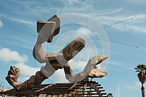 Shrimp Javier Mariscal