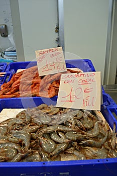 Shrimp and langoustines for sale at Cadiz fish Market