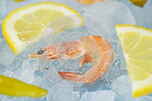 Shrimp and lemon wedges lie on ice