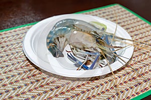 Shrimp Macrobrachium Rosenberg Macrobrachium Rosenbergii fresh water on a white plate