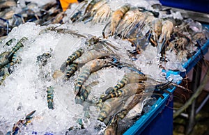 Shrimp or macrobrachium rosenbergii frozen with ice in the market. Seafood concept