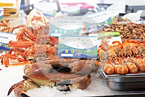 Shrimp and other seafood at the fish market