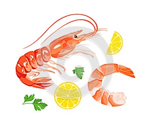 Shrimp, parsley and lemon slice isolated on white.