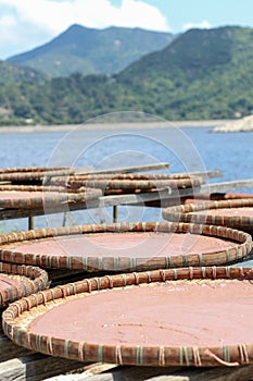 Shrimp paste in a fishing village in Hong Kong