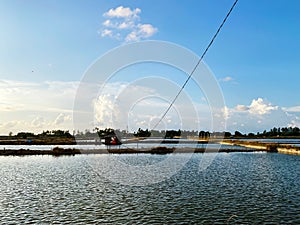 Shrimp ponds