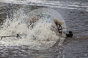 shrimp or prawn farming with aerator pump oxygenation water near the ocean