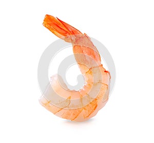Shrimp. Prawn isolated on White photo