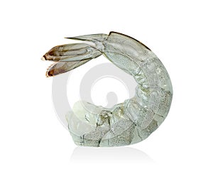 Shrimp raw isolated on white background ,include clipping path