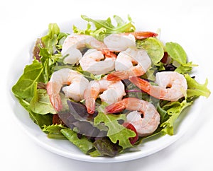 Shrimp salad
