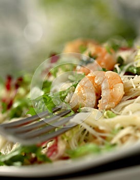 Shrimp salad