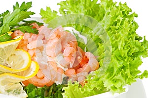 Shrimp salad on fresh lettuce leaves