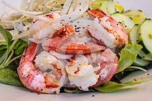 Shrimp Salad or Insalata di Gamberi on a White Plate photo