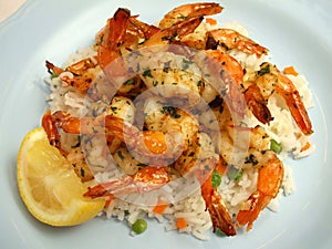 Shrimp Scampi and Rice photo