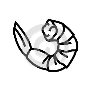 shrimp seafood line icon vector illustration