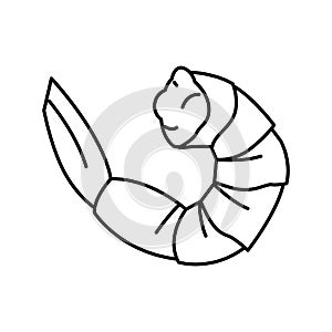 shrimp seafood line icon vector illustration