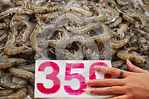 Shrimp with shrimp farm in the Asian market