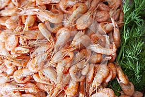 Shrimp. Shrimps lie on a plate. Boiled ready-to-eat shrimp. A large dish of small shrimps