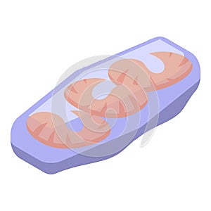 Shrimp spring roll icon isometric vector. Chinese menu