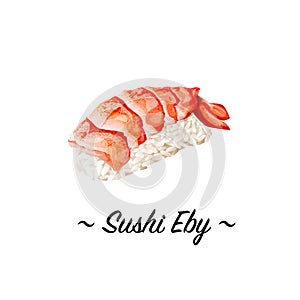 Shrimp sushi closeup isolated on white background.