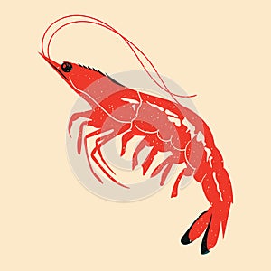 Shrimp. Vector illustration with Riso print effect