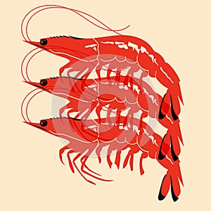 Shrimp. Vector illustration with Riso print effect