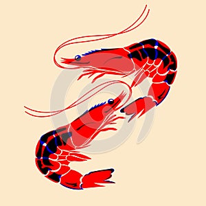 Shrimp. Vector illustration with Riso print effect