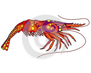 Shrimp - vector linear full color illustration. Ocean crustacean - colorful shrimp with patterns. Template for stained glass, bati