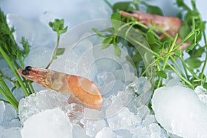 Shrimp, vegetable slices and greens for shrimp salad