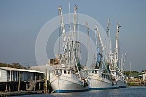 Shrimpboats