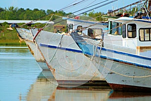 Shrimping Fleet photo