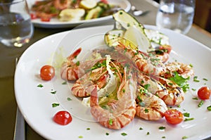 Shrimps photo