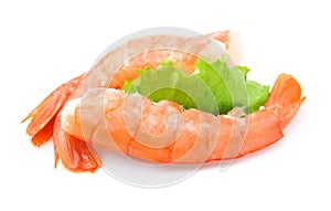 Shrimps