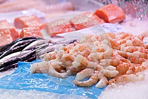 Shrimps