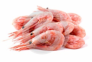 Shrimps