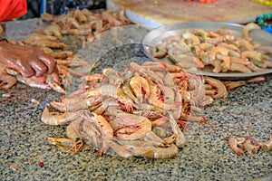 Shrimps Al Khor Fish Market