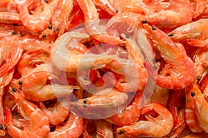 Shrimps background texture. A lot of shrimps. Cooked shrimps