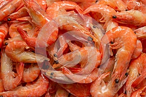 Shrimps background texture. A lot of shrimps. Cooked shrimps