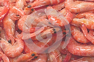 Shrimps background texture. A lot of shrimps. Cooked shrimps