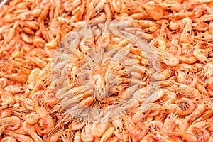 Shrimps background texture. A lot of sea shrimp or pattern of krill. Sea food like shrimp or krill on the street food festival. St