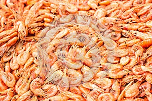 Shrimps background texture. A lot of sea shrimp or pattern of krill. Sea food like shrimp or krill on the street food festival. St