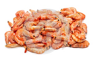 Shrimps background texture. A lot of shrimps