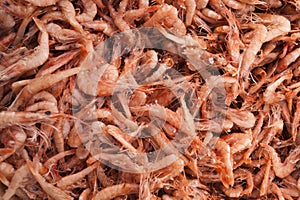 Shrimps background texture.