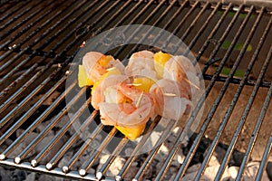 Shrimps on the barbecue