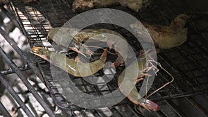 Shrimps on barbeque grill while picnic close up. Shrimps barbeque meat on grill on fire and coal. Outdoor sea food