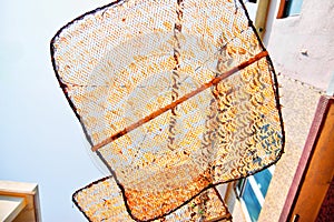 Shrimps being dried on nets at Tai O, Lantau island, Hong Kong