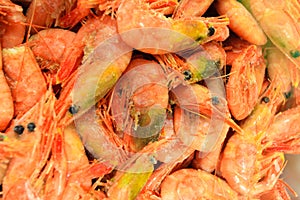 Shrimps fish market (Fisketorget) in Bergen, Norway